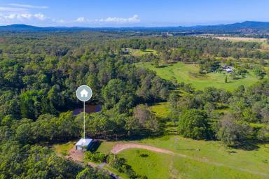 Residential Block Auction - NSW - Temagog - 2440 - Great Value, Shed For The Toys!  (Image 2)