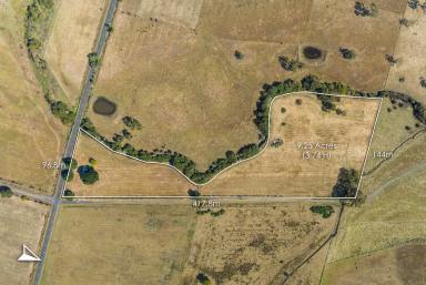 Residential Block For Sale - VIC - Woodend North - 3442 - "Crick Hollow" 9 Acres of Delightful Country Gold!  (Image 2)