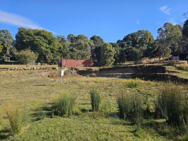 Residential Block For Sale - TAS - Beauty Point - 7270 - Half acre block in Beauty Point!  (Image 2)