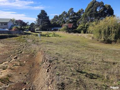 Residential Block For Sale - TAS - Beauty Point - 7270 - Half acre block in Beauty Point!  (Image 2)