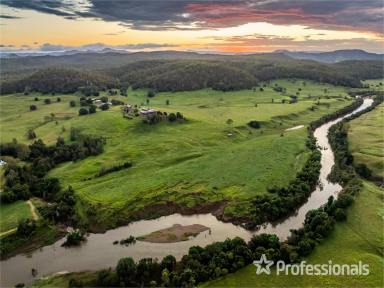 Livestock For Sale - QLD - The Palms - 4570 - "BLIMEY DOWNS" – THE REGION'S JEWEL LIVESTOCK PROPERTY!  (Image 2)