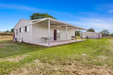 Lifestyle Sold - QLD - Thagoona - 4306 - 'THAGOONA" - Productive Acreage on Ipswich's Doorstep!  (Image 2)