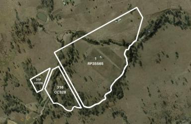 Lifestyle Sold - QLD - Thagoona - 4306 - 'THAGOONA" - Productive Acreage on Ipswich's Doorstep!  (Image 2)