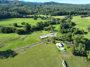Other (Rural) For Sale - NSW - Bellingen - 2454 - 'Riverside' A Productive, Riverfront Farm with Renovated Homestead.  (Image 2)