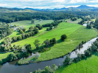 Other (Rural) For Sale - NSW - Bellingen - 2454 - 'Riverside' A Productive, Riverfront Farm with Renovated Homestead.  (Image 2)