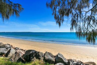 House Sold - QLD - Torquay - 4655 - Living on the Esplanade - what a great Investment!!  (Image 2)