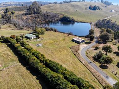 House For Sale - NSW - Batlow - 2730 - Rural Living!  (Image 2)