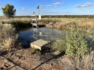 Other (Rural) For Sale - NSW - Whitton - 2705 - ENTRY IRRIGATION HOLDING  (Image 2)