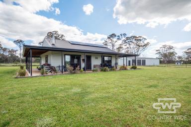 Lifestyle For Sale - NSW - Guyra - 2365 - Motivated Vendor  (Image 2)