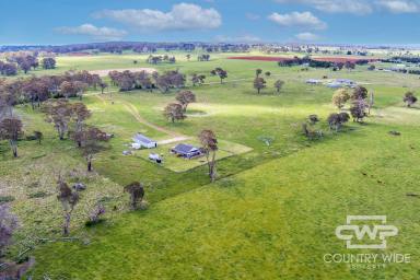 Lifestyle For Sale - NSW - Guyra - 2365 - Motivated Vendor  (Image 2)