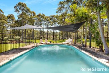 House For Sale - NSW - Nowra Hill - 2540 - 2.5 Acres of Picturesque Tranquillity  (Image 2)