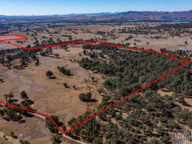 Lifestyle For Sale - VIC - Bonegilla - 3691 - An extremely rare opportunity to acquire high quality genuine cattle country  (Image 2)