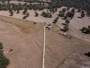 Lifestyle For Sale - VIC - Bonegilla - 3691 - An extremely rare opportunity to acquire high quality genuine cattle country  (Image 2)