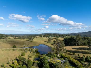 Residential Block For Sale - NSW - Brogo - 2550 - 100 ACRES WITH EXCELLENT SHED  (Image 2)