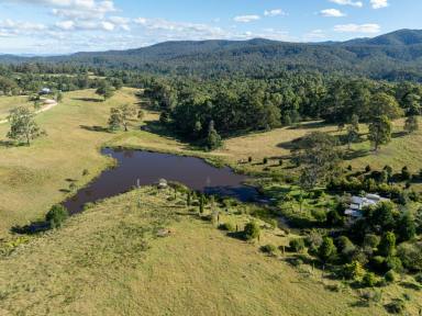 Residential Block For Sale - NSW - Brogo - 2550 - 100 ACRES WITH EXCELLENT SHED  (Image 2)