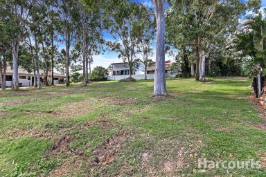 Residential Block For Sale - QLD - River Heads - 4655 - The Best Of ALL The Worlds  (Image 2)