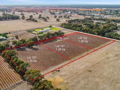 Residential Block For Sale - SA - Penola - 5277 - Small acreage lifestyle allotments on the edge of Penola  (Image 2)