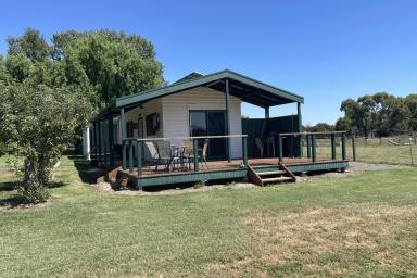 Unit Leased - VIC - Mansfield - 3722 - Quiet Cottage with beautiful outlook.  (Image 2)