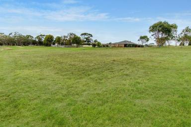 Residential Block For Sale - VIC - Portland - 3305 - Large Allotment Close to Portland’s CBD & Beaches  (Image 2)