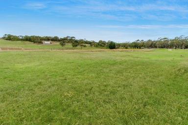 Residential Block For Sale - VIC - Portland - 3305 - Large Allotment Close to Portland’s CBD & Beaches  (Image 2)