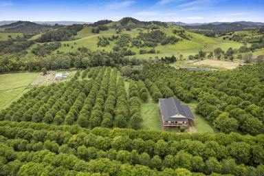 Acreage/Semi-rural For Sale - QLD - Amamoor - 4570 - Breathtaking Views of the Valley  (Image 2)