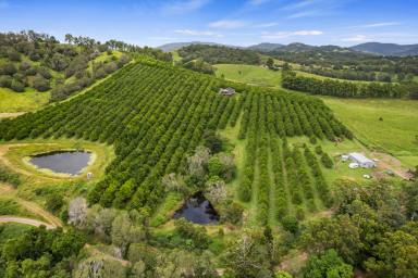 Acreage/Semi-rural For Sale - QLD - Amamoor - 4570 - Breathtaking Views of the Valley  (Image 2)