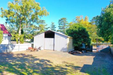 Residential Block For Sale - NSW - Quirindi - 2343 - RESIDENTIAL OR COMMERCIAL WITH 5 SHEDS  (Image 2)