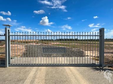 Mixed Farming Sold - NSW - Wee Waa - 2388 - 'ELDORADO' - FARMING - GRAZING - HUNTING  (Image 2)