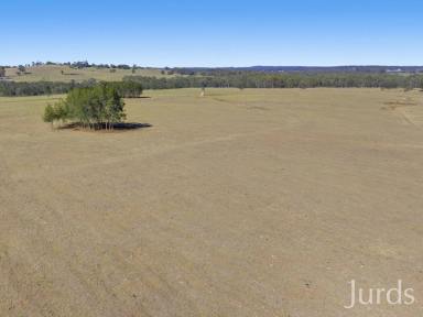 Lifestyle For Sale - NSW - Pokolbin - 2320 - BLANK CANVAS DEVELOPMENT SITE IN HEART OF WINE COUNTRY  (Image 2)