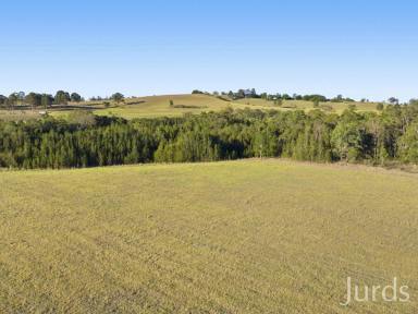 Lifestyle For Sale - NSW - Pokolbin - 2320 - BLANK CANVAS DEVELOPMENT SITE IN HEART OF WINE COUNTRY  (Image 2)