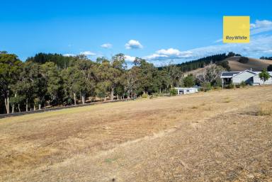 Residential Block For Sale - WA - Nannup - 6275 - Half an acre town block  (Image 2)