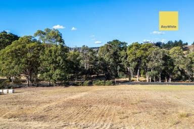 Residential Block For Sale - WA - Nannup - 6275 - Half an acre town block  (Image 2)