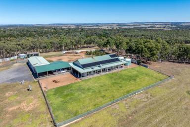 Farmlet Sold - NSW - Goulburn - 2580 - Road to Peace and Freedom !  (Image 2)