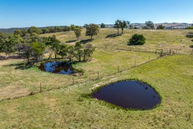 Farmlet For Sale - NSW - Goulburn - 2580 - Road to Peace and Freedom !  (Image 2)