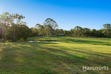 Residential Block For Sale - QLD - Tinana - 4650 - Your Perfect Block Awaits!  (Image 2)