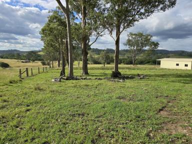 Lifestyle Sold - NSW - Bunyah - 2429 - BUNYAH BEAUTY WITH DWELLING ENTITLEMENT  (Image 2)