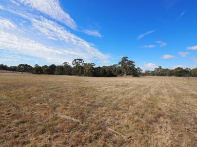 Residential Block For Sale - VIC - Beaufort - 3373 - 2.00HA (4.94 Acres) Private Setting Right On The Edge of Town  (Image 2)
