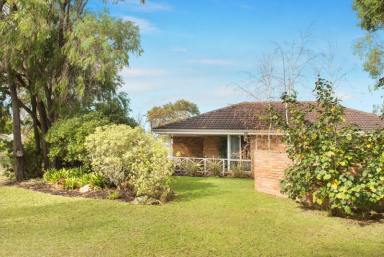 House For Sale - WA - West Busselton - 6280 - DISCOVER TRANQUILTY – SPACIOUS DUPLEX IN IDYLLIC QUIET LOCATION  (Image 2)
