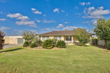 House Sold - VIC - Irymple - 3498 - IRYMPLE LIFESTYLE  (Image 2)