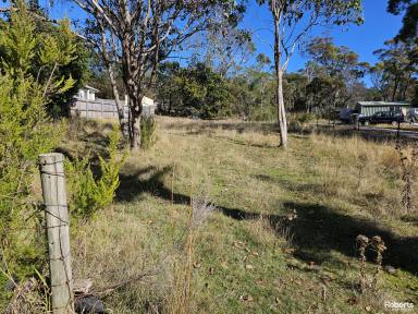 Residential Block Sold - TAS - Clarence Point - 7270 - Vacant Land!  (Image 2)