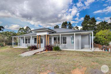 House Sold - VIC - Dereel - 3352 - Experience This Contemporary Home In A Peaceful Country Setting  (Image 2)