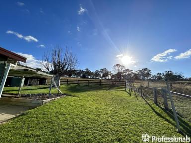 House For Lease - NSW - Bendemeer - 2355 - 87-101 Fredrick St, Bendemeer  (Image 2)