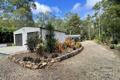 Residential Block For Sale - QLD - Bauple - 4650 - THE BEST IN TRANQUIL LIVING!  (Image 2)