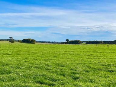 Dairy For Sale - VIC - Ecklin South - 3265 - GRASS FACTORY (DAIRY – FATTENING – FODDER)  (Image 2)