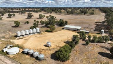 Other (Rural) For Sale - SA - Frances - 5262 - PREMIUM MIXED FARMING ASSET WITHIN HIGH RAINFALL DISTRICT  (Image 2)