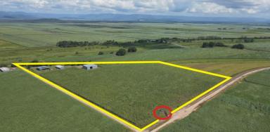 House For Sale - QLD - Trebonne - 4850 - ENJOY THE NATURE WITH RURAL HOME ON 8.182 HA. (APPROX. 20 ACRE) BLOCK!  (Image 2)