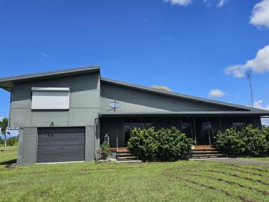 House For Sale - QLD - Trebonne - 4850 - ENJOY THE NATURE WITH RURAL HOME ON 8.182 HA. (APPROX. 20 ACRE) BLOCK!  (Image 2)