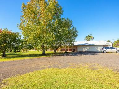 House Sold - NSW - Cundletown - 2430 - PRIVACY, SPACE AND SHEDS  (Image 2)