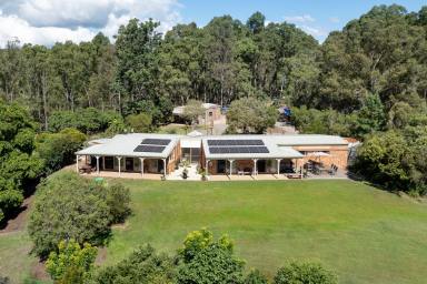 House For Sale - QLD - Carters Ridge - 4563 - Perfect Country Style  Living: 4-Bedroom Home with Shed on 10 Acres in Noosa Hinterland  (Image 2)