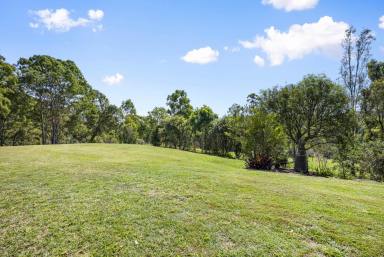 House For Sale - QLD - Carters Ridge - 4563 - Perfect Country Style  Living: 4-Bedroom Home with Shed on 10 Acres in Noosa Hinterland  (Image 2)